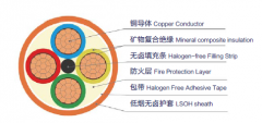 WDZB1级阻燃电力电缆 燃烧性能B1级电缆